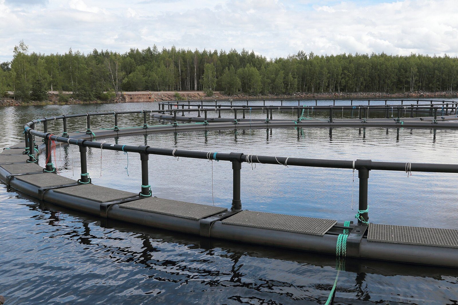 Bassins circulaires de pisciculture sur un lac