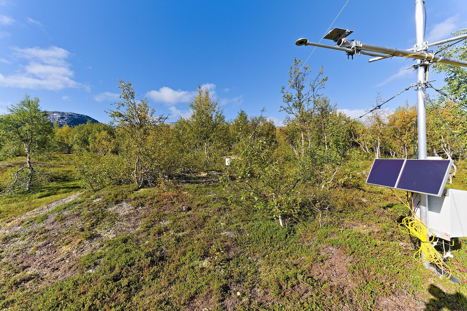 Station météo autonome avec panneau solaire en pleine nature